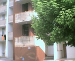 Vista